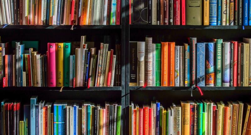 Shelves of books, maybe in a library. The books are of a variety of colours and formats. 