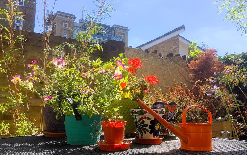 Plants in pots of different shapes, sizes and colours and a small orange watering can on a garden table. More plants visible behind, as well as tall buildings and some blue sky. 